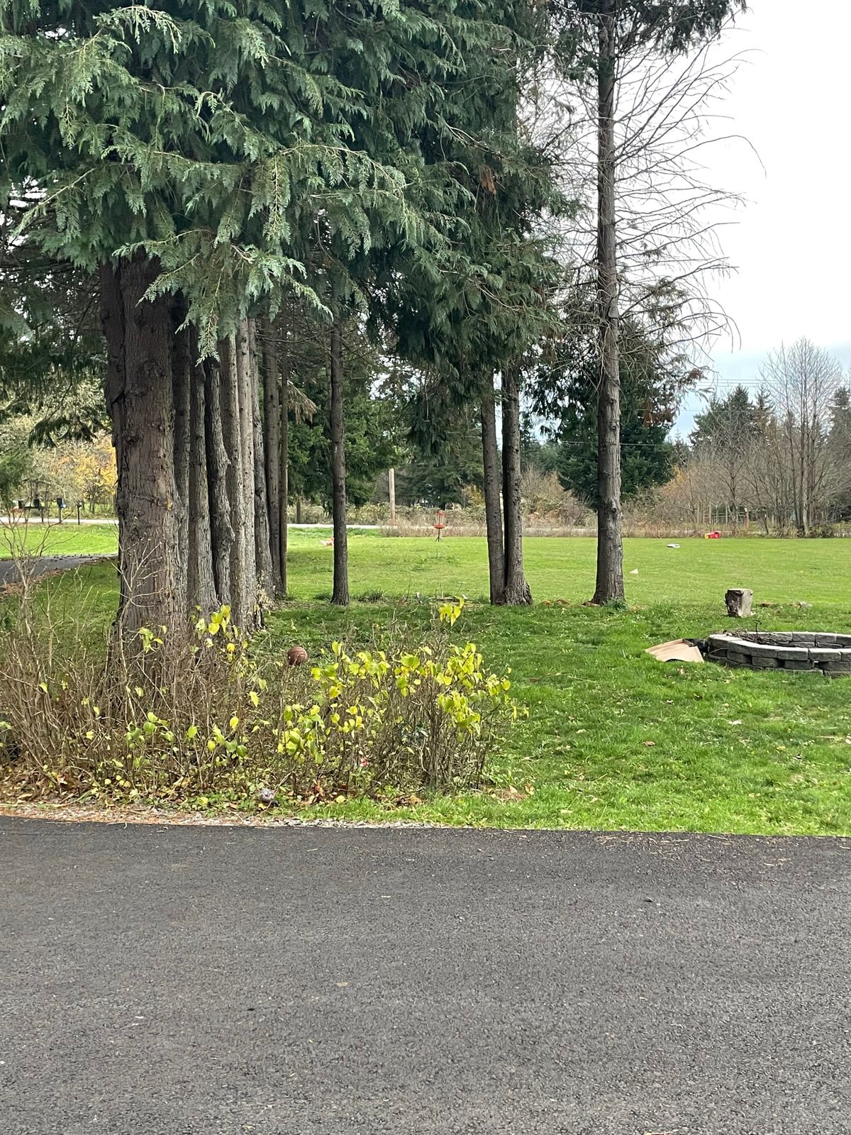 Hole 4. Mando left of furthest tree to the right.
