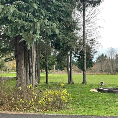 Hole 4. Mando left of furthest tree to the right.