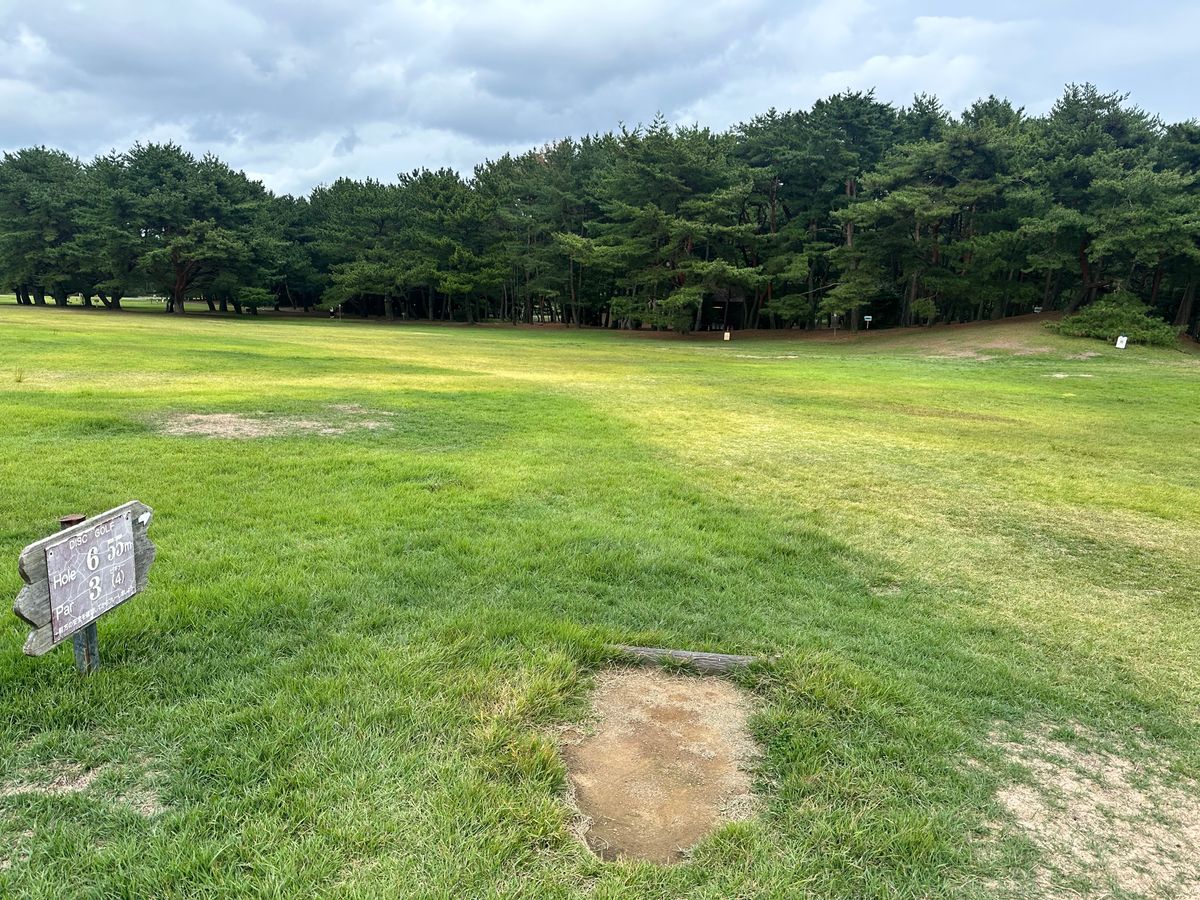 Hole 6