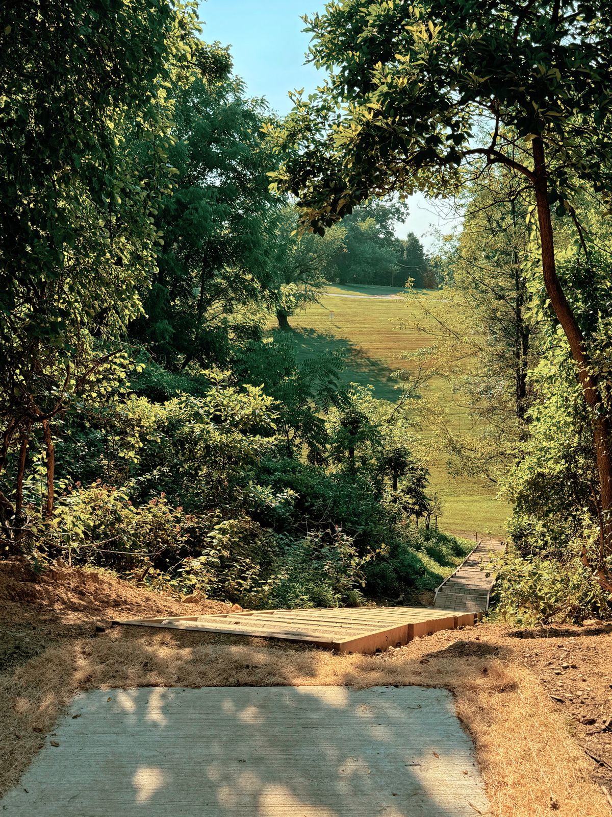 Hole 5 
Stairway To Birdies