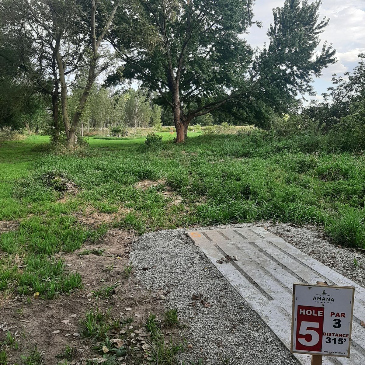 Hole 5 Pad