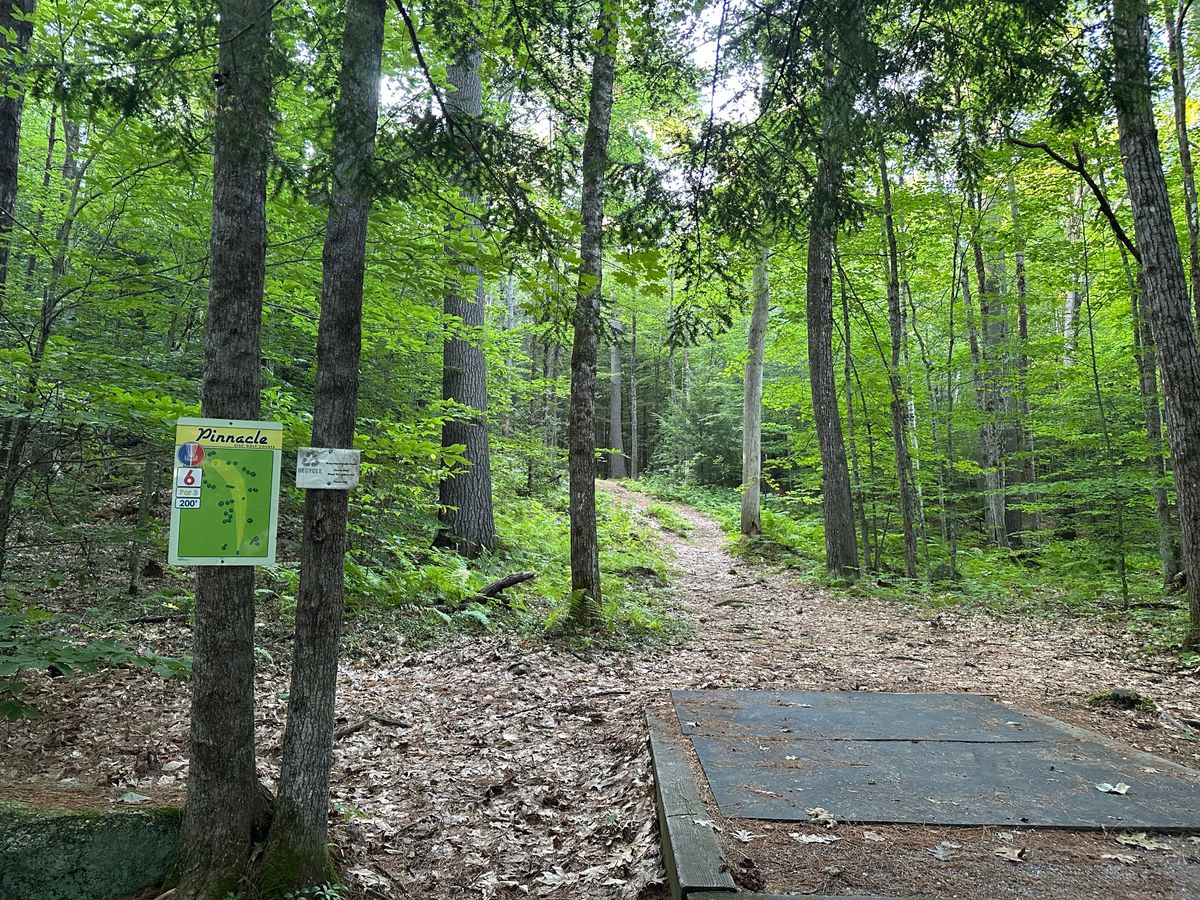 Tee pad 6