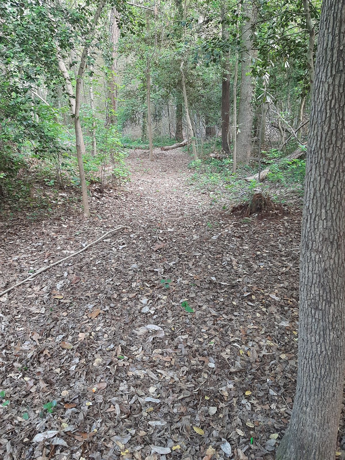 Hole 8 Blue Tee