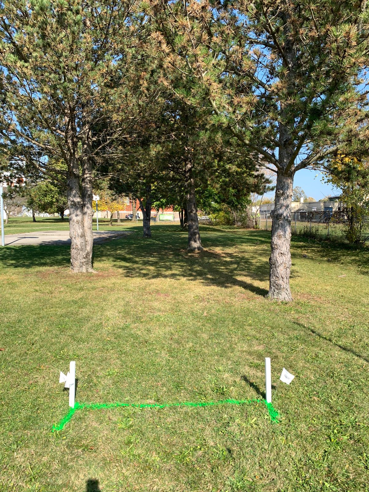 Hole 5 at the Beaudoin Aceplace.