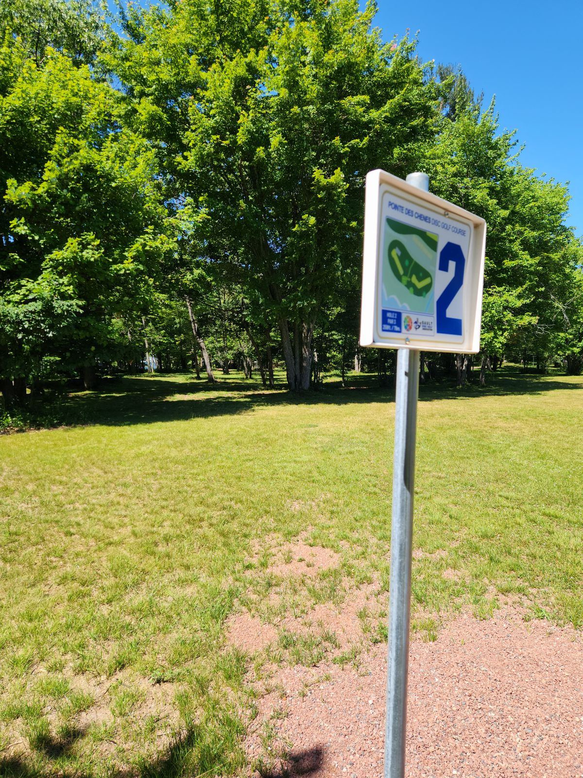 The tee for 2 is across the road and the basket is loosely guarded by trees.