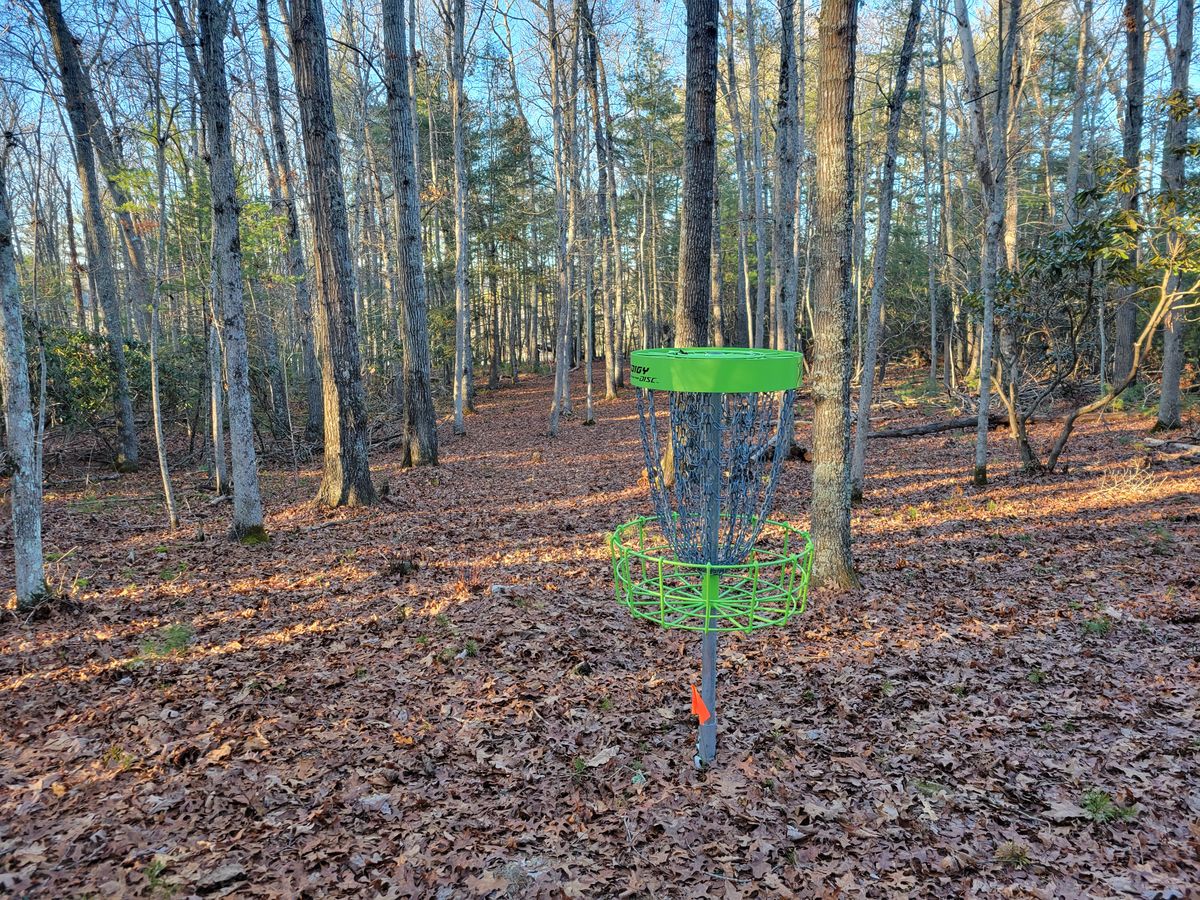 Hole 3 basket to tee