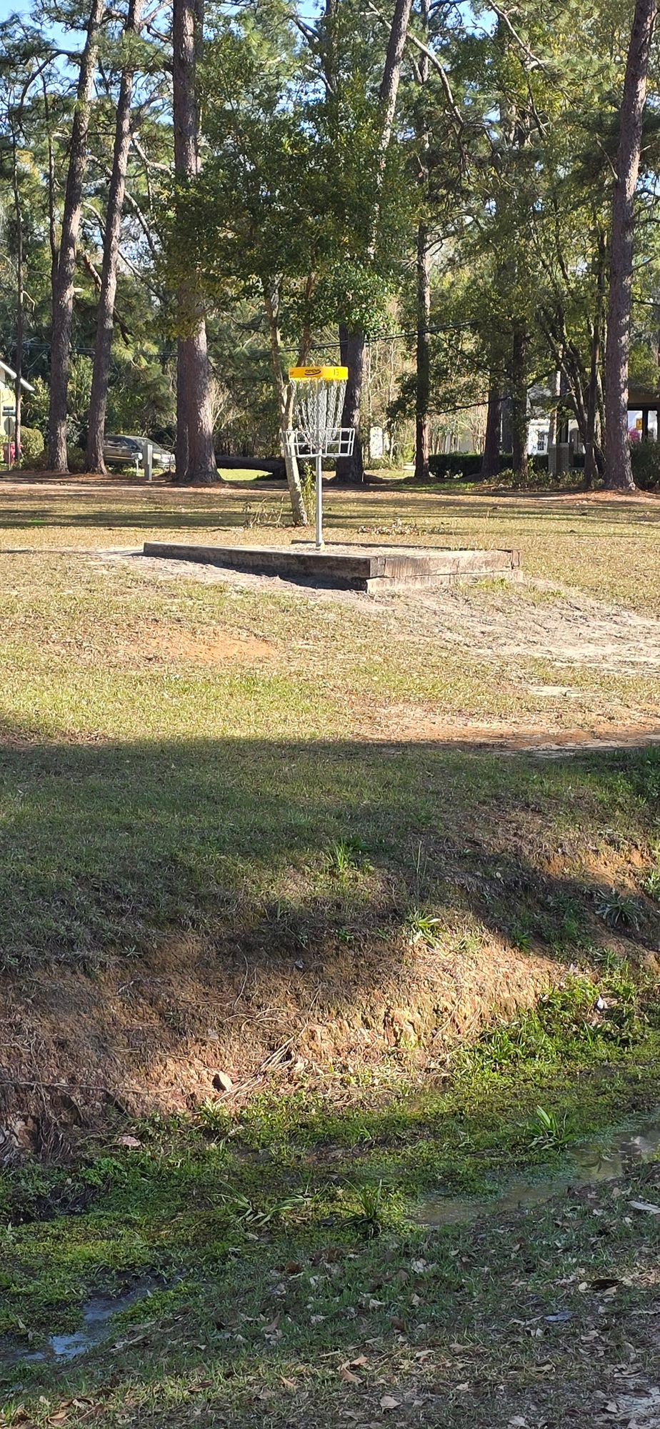 Hole 13 basket