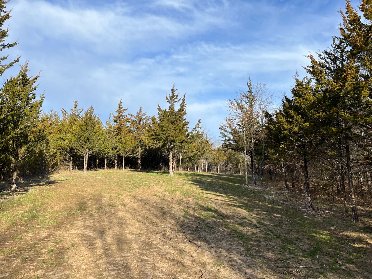 Hole 10 fairway back to tee