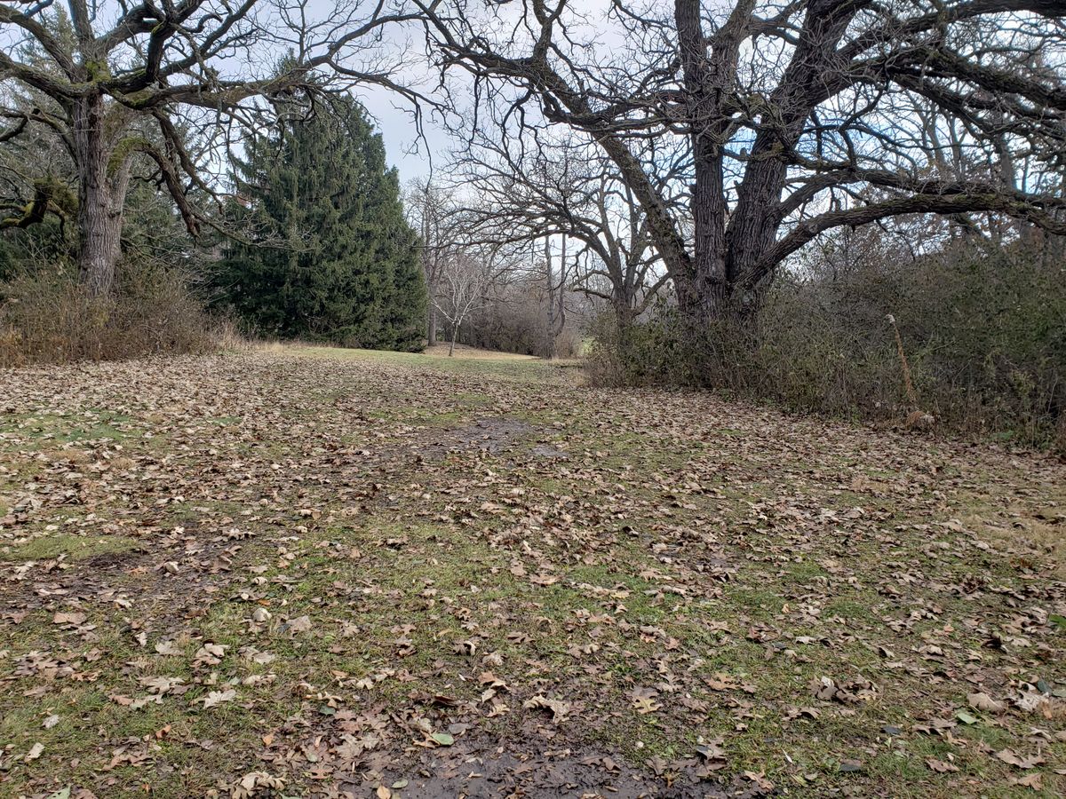 Hole 15