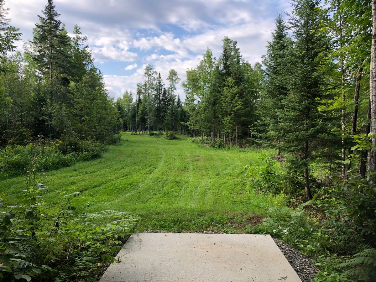 Basket 5 tee pad