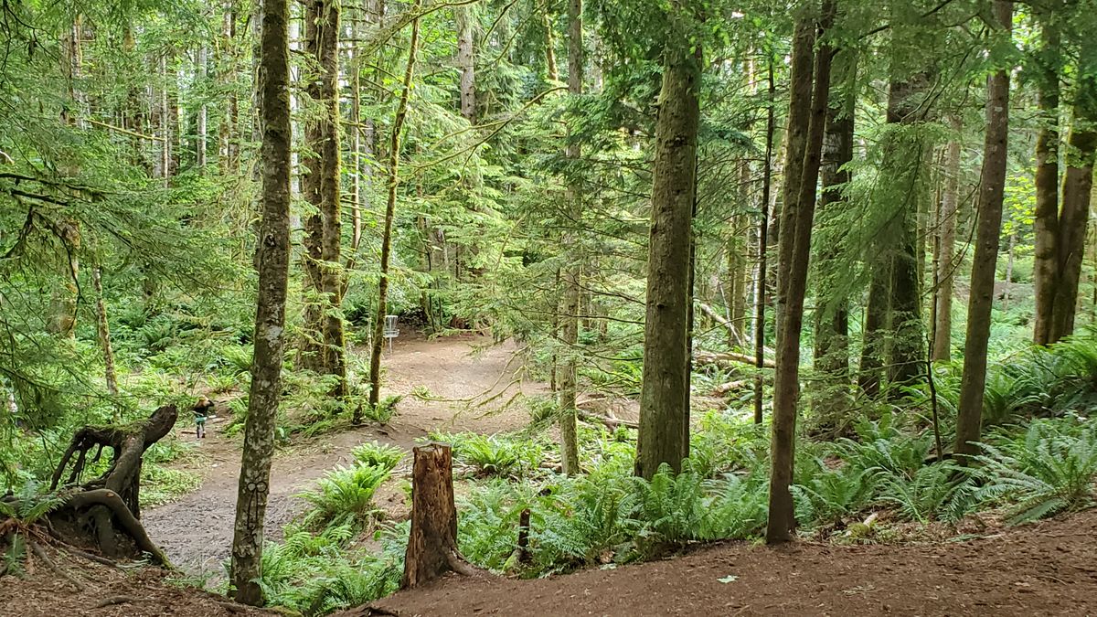 Hole 4