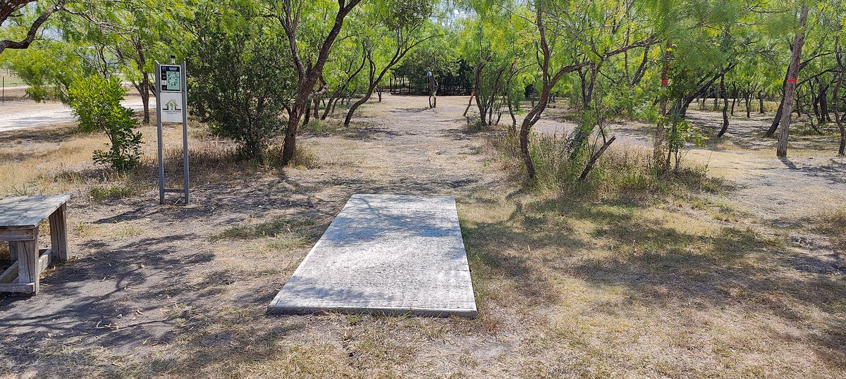 Hole 11 tee pad, single tree to beat.