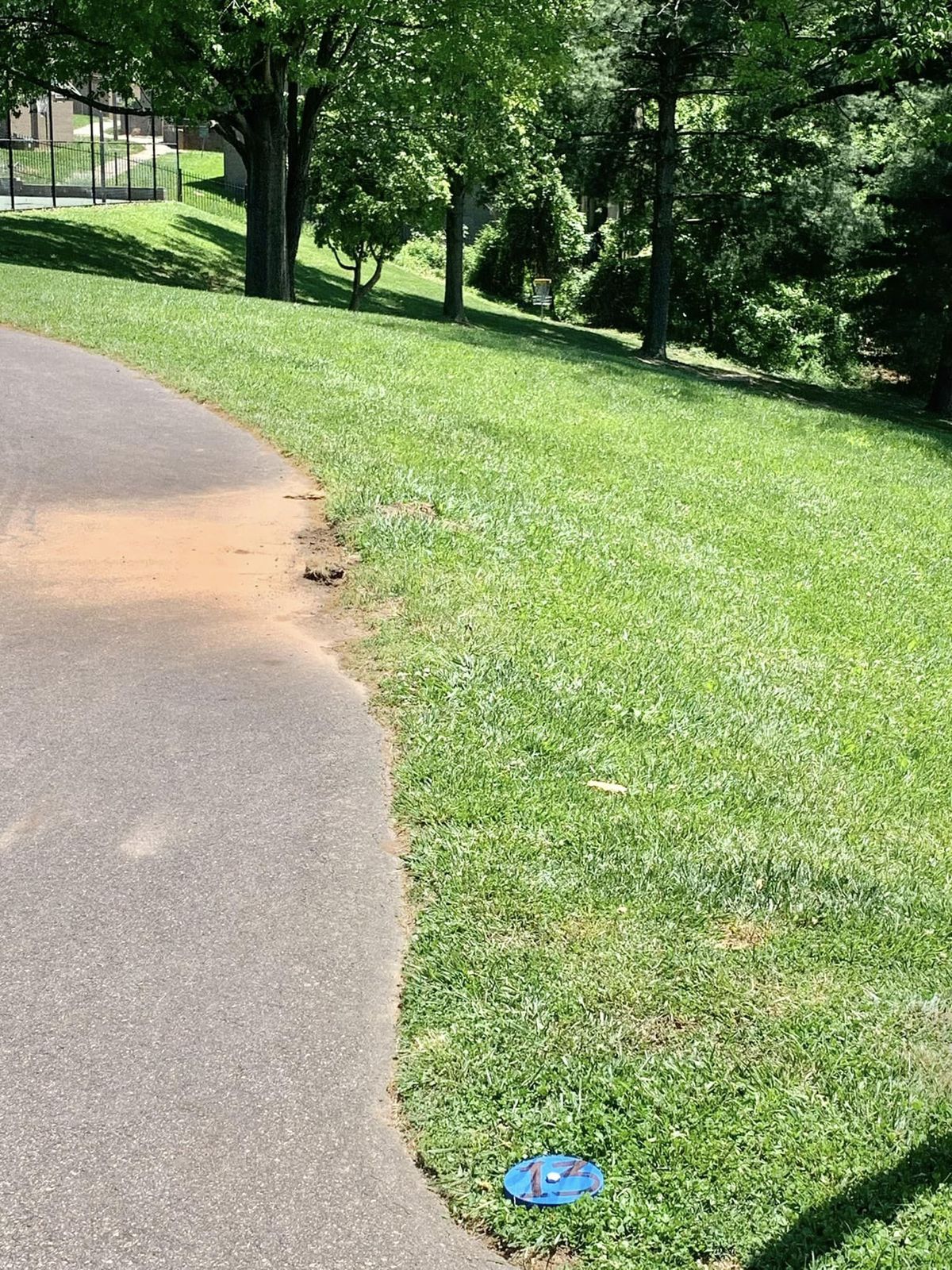 Hole 13 (blue marker on basket #1)