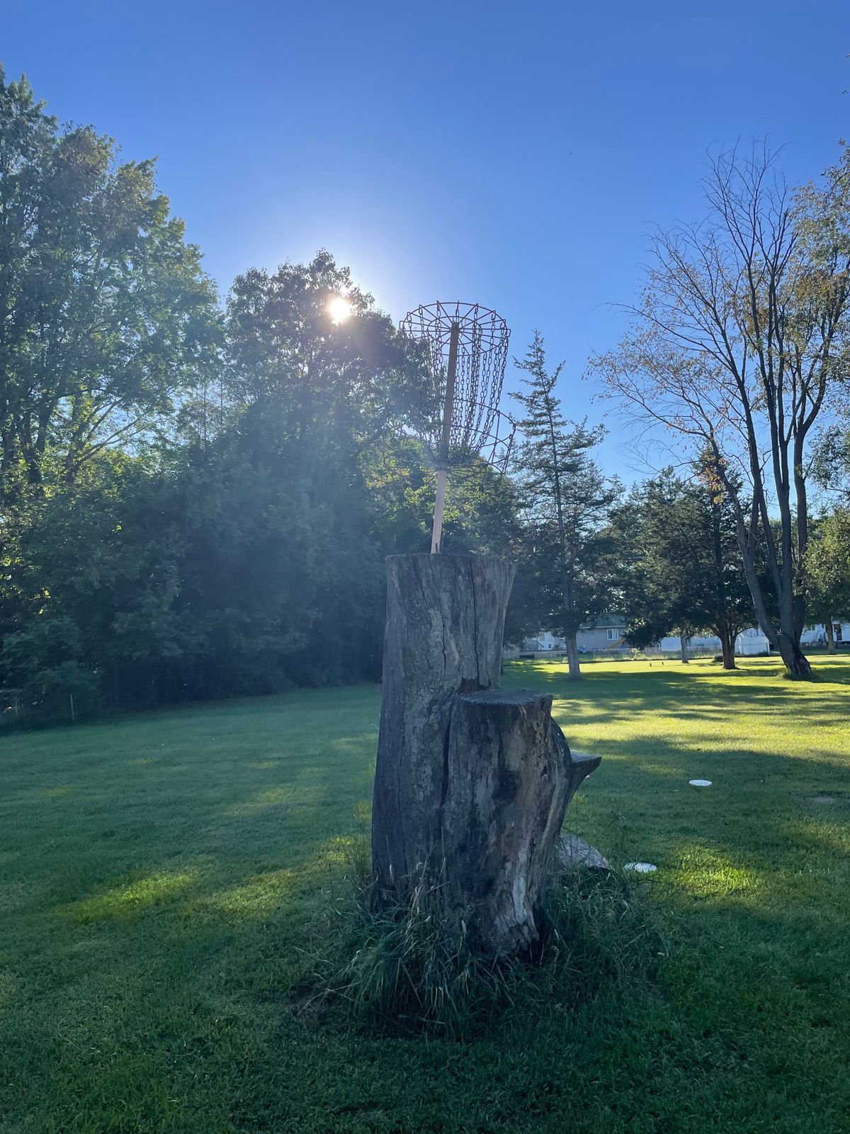 Hole 5 raised basket