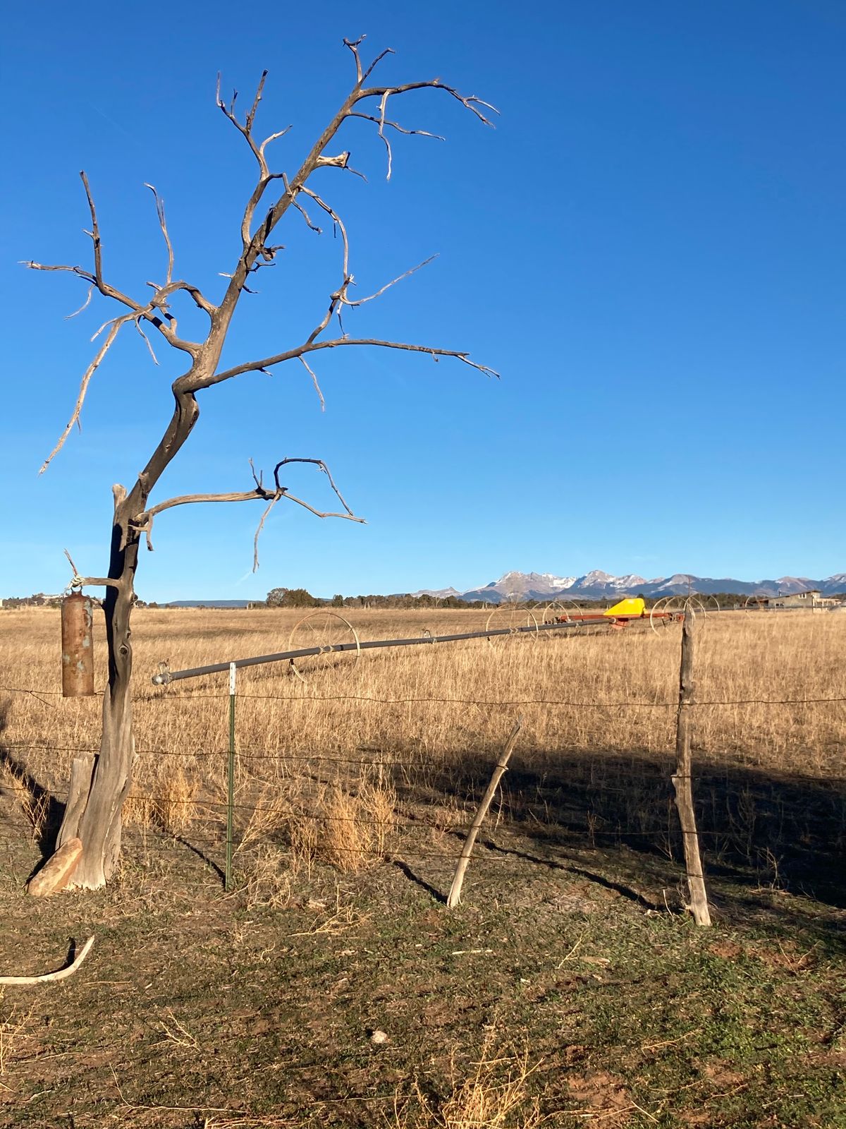 Bell target on OB fence line