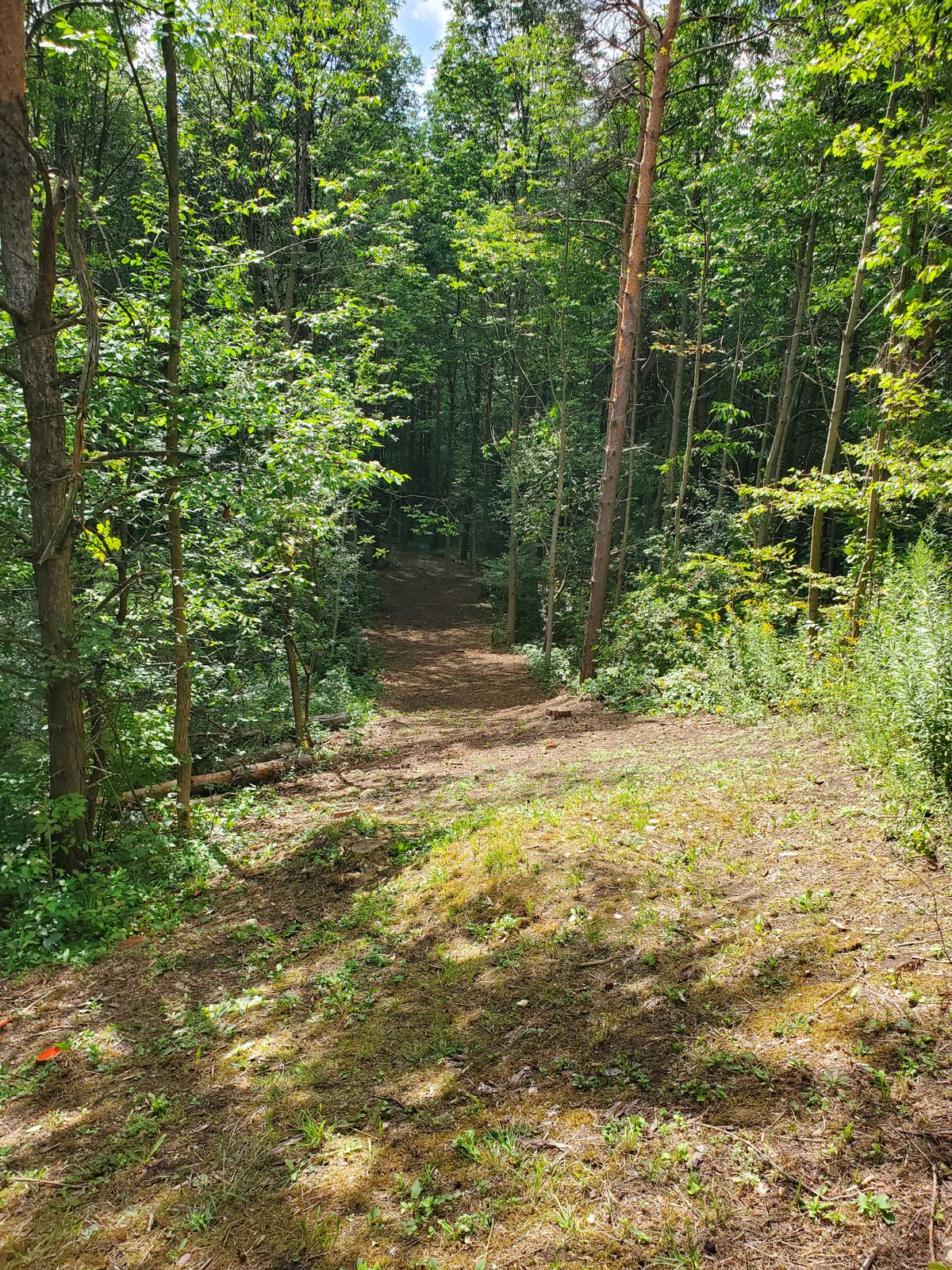 Hole 3 basket
