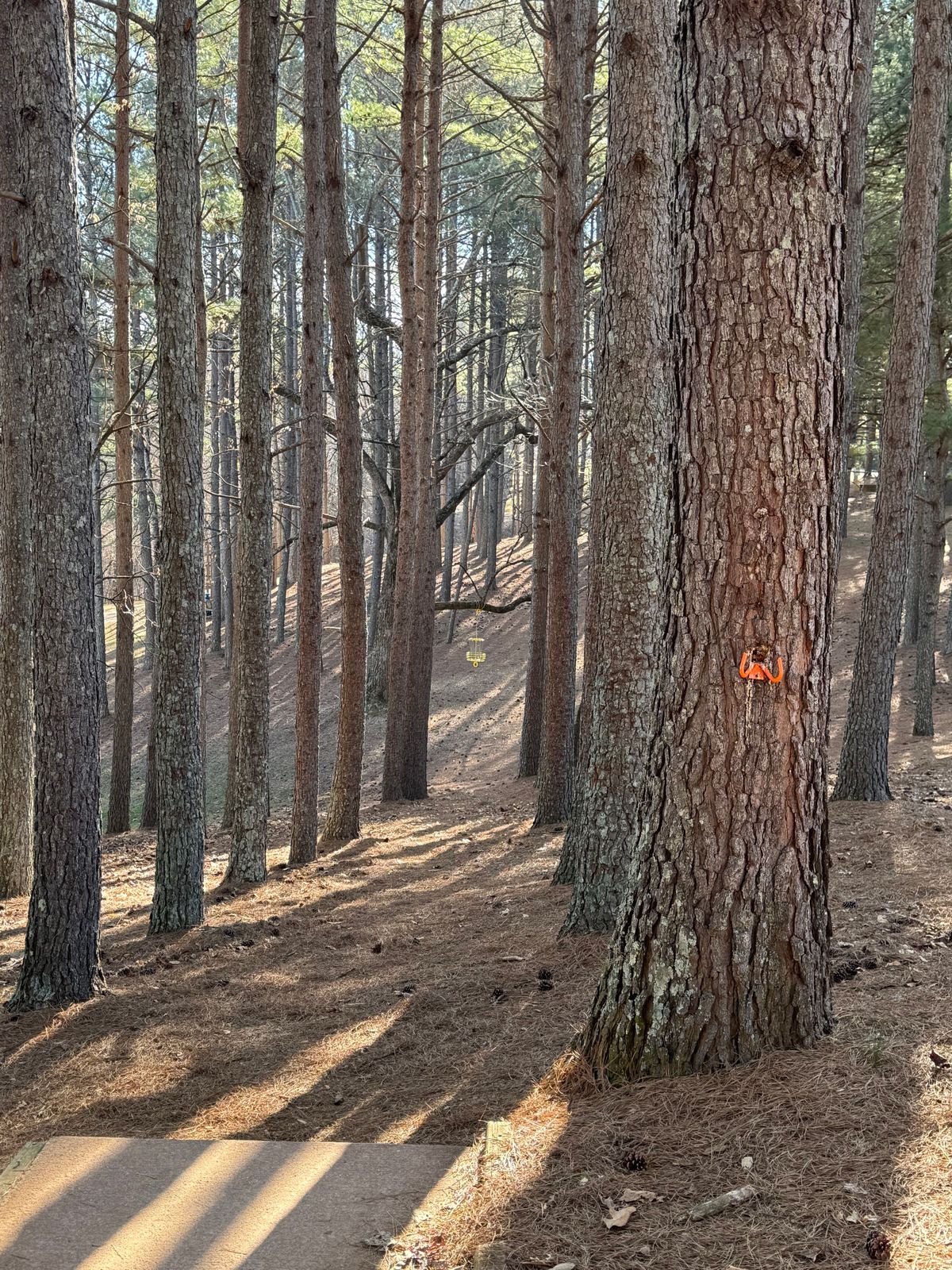 hole 7 from the white tee