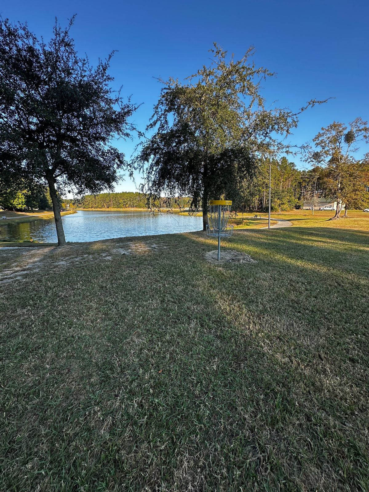Hole 12 Basket, Standard Position