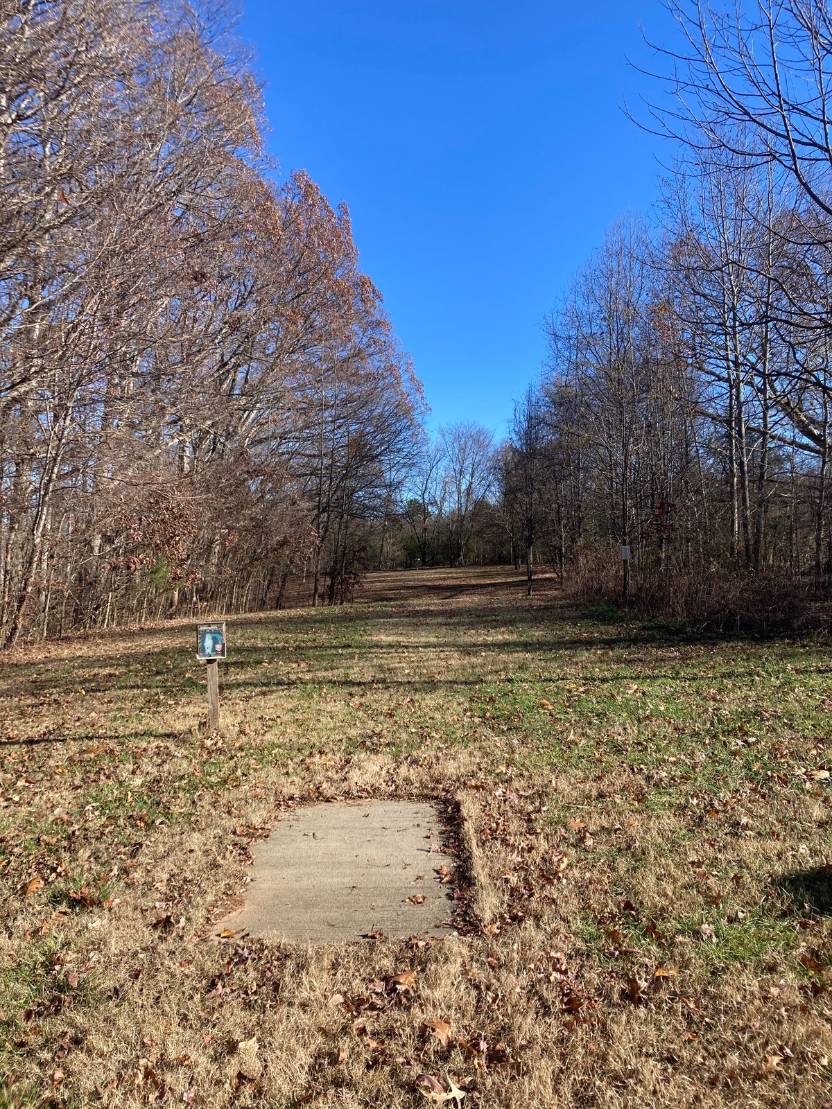 Hole 5 Regular Teepad