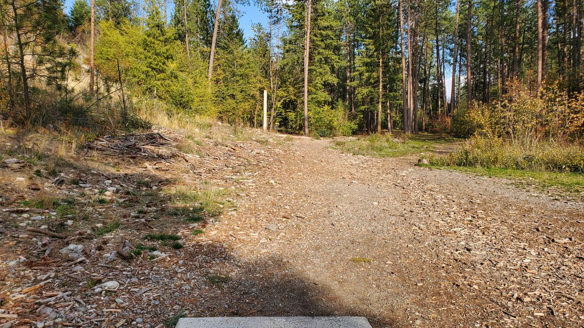 Tee pad hole 10