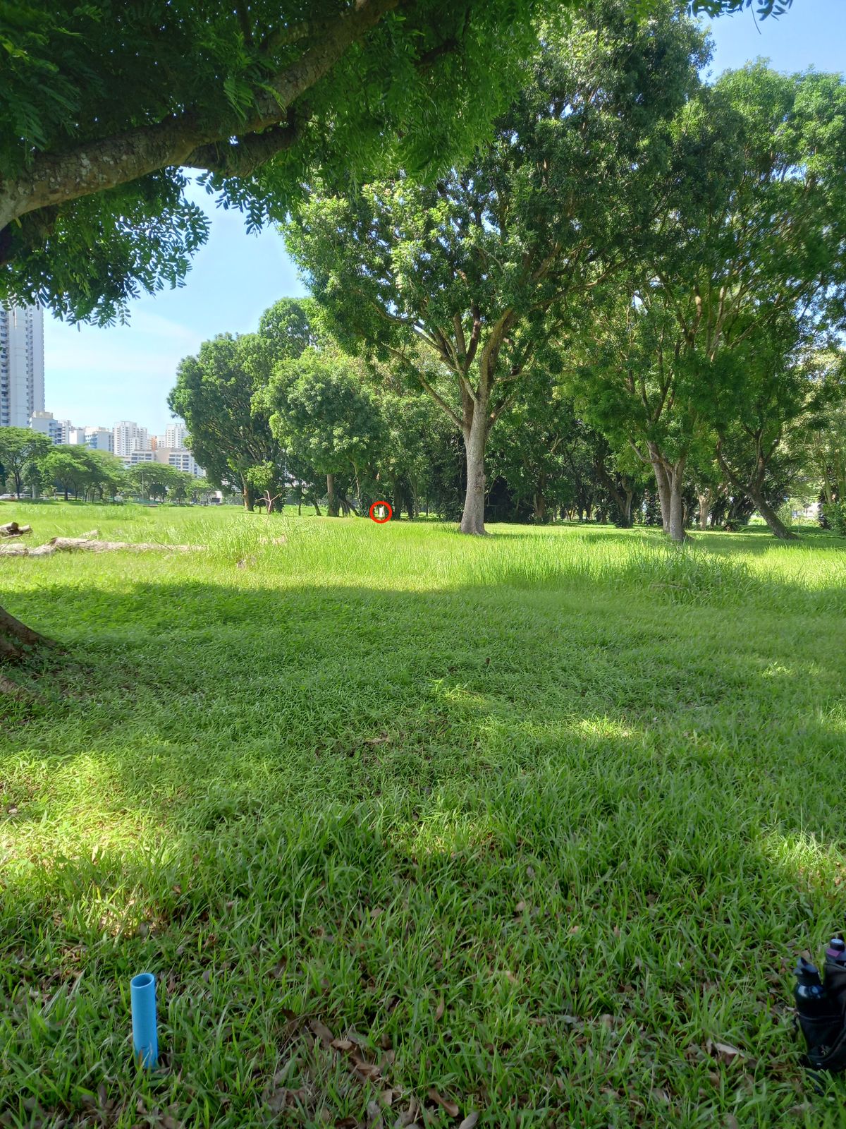Hole 8