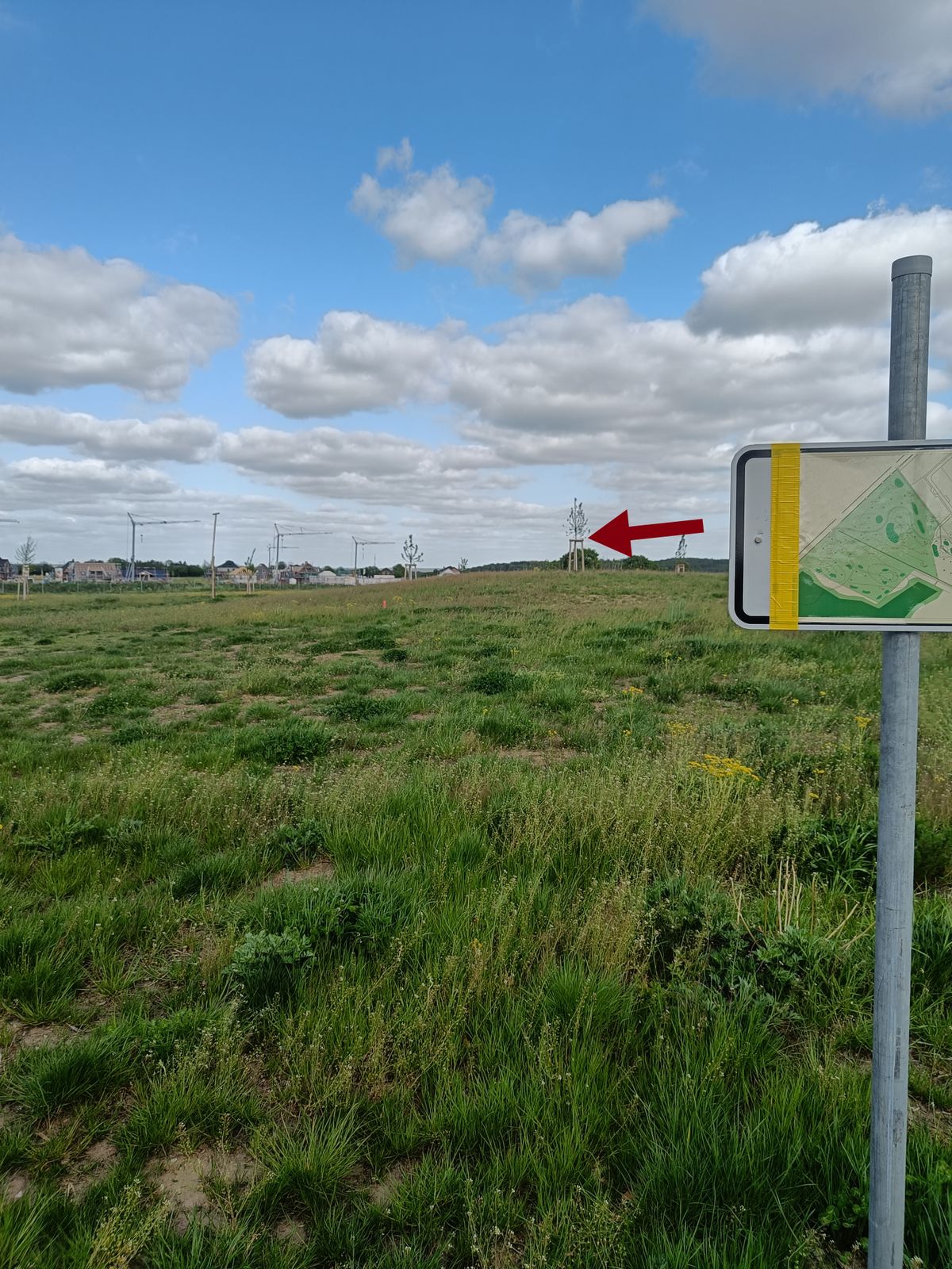 Bahn 7 
Mandobaum links umspielen
Dropzone ist links neben dem Baum