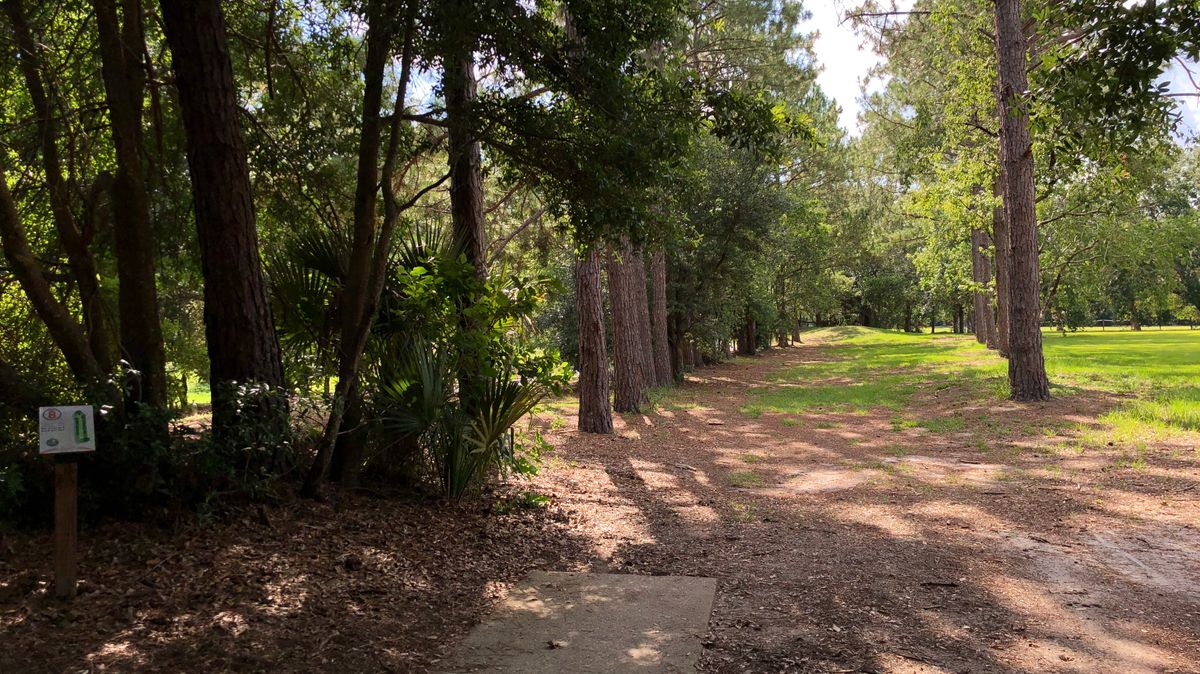 Hole 8