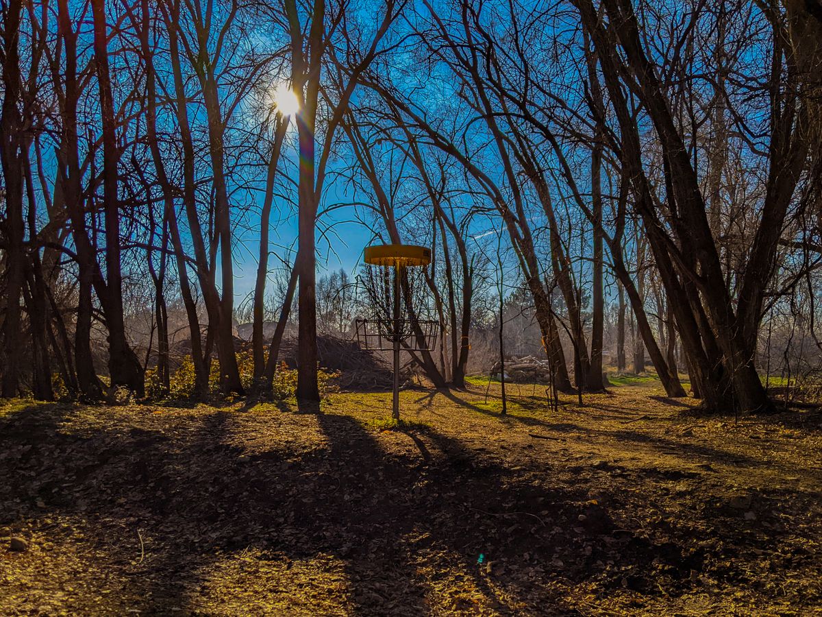 The sun shining on Basket 9 @ Art Dye