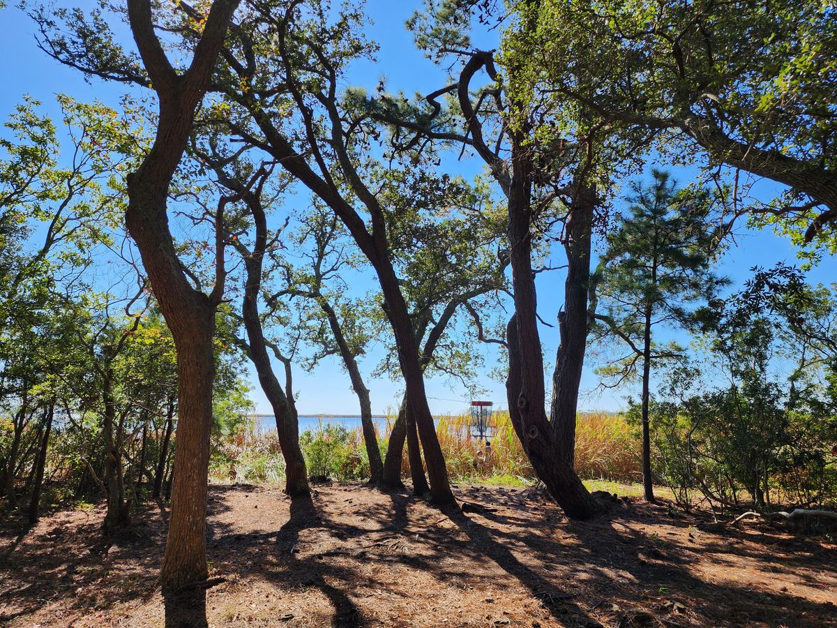 Hole 5 Red Basket