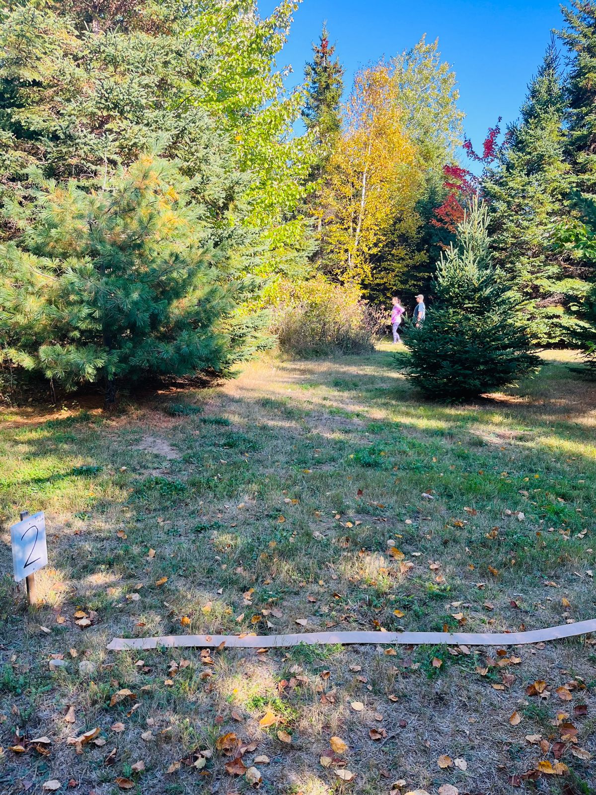 Le départ du #2, le panier est derrière le buisson