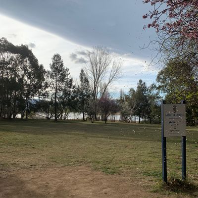 Hole 14 looking good at Jindy