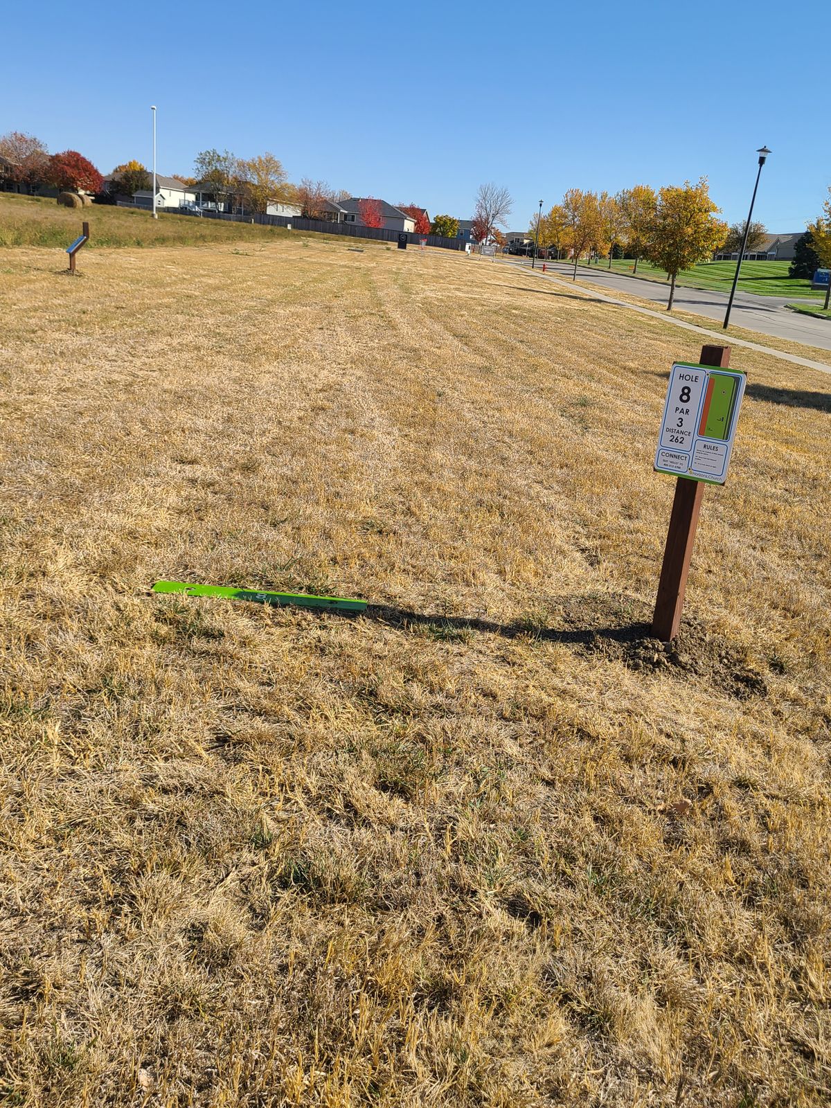 8 Green