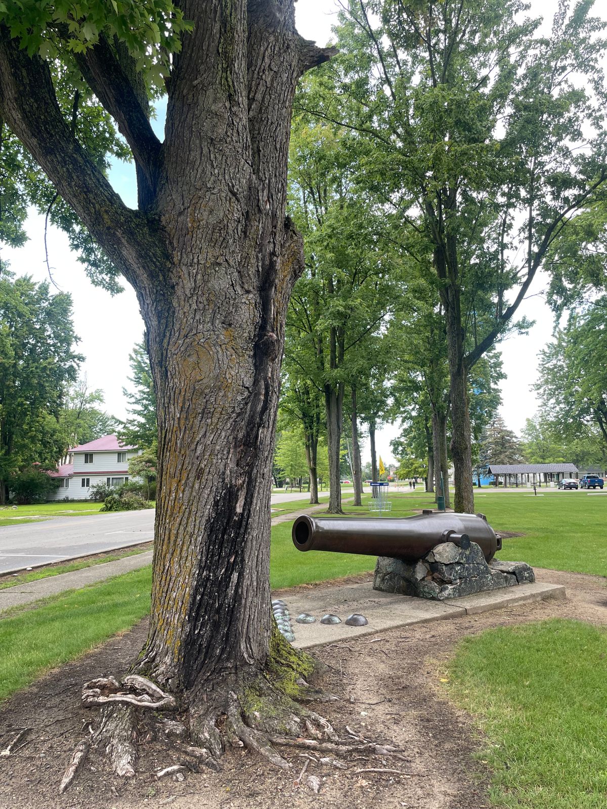 Hole 5 basket