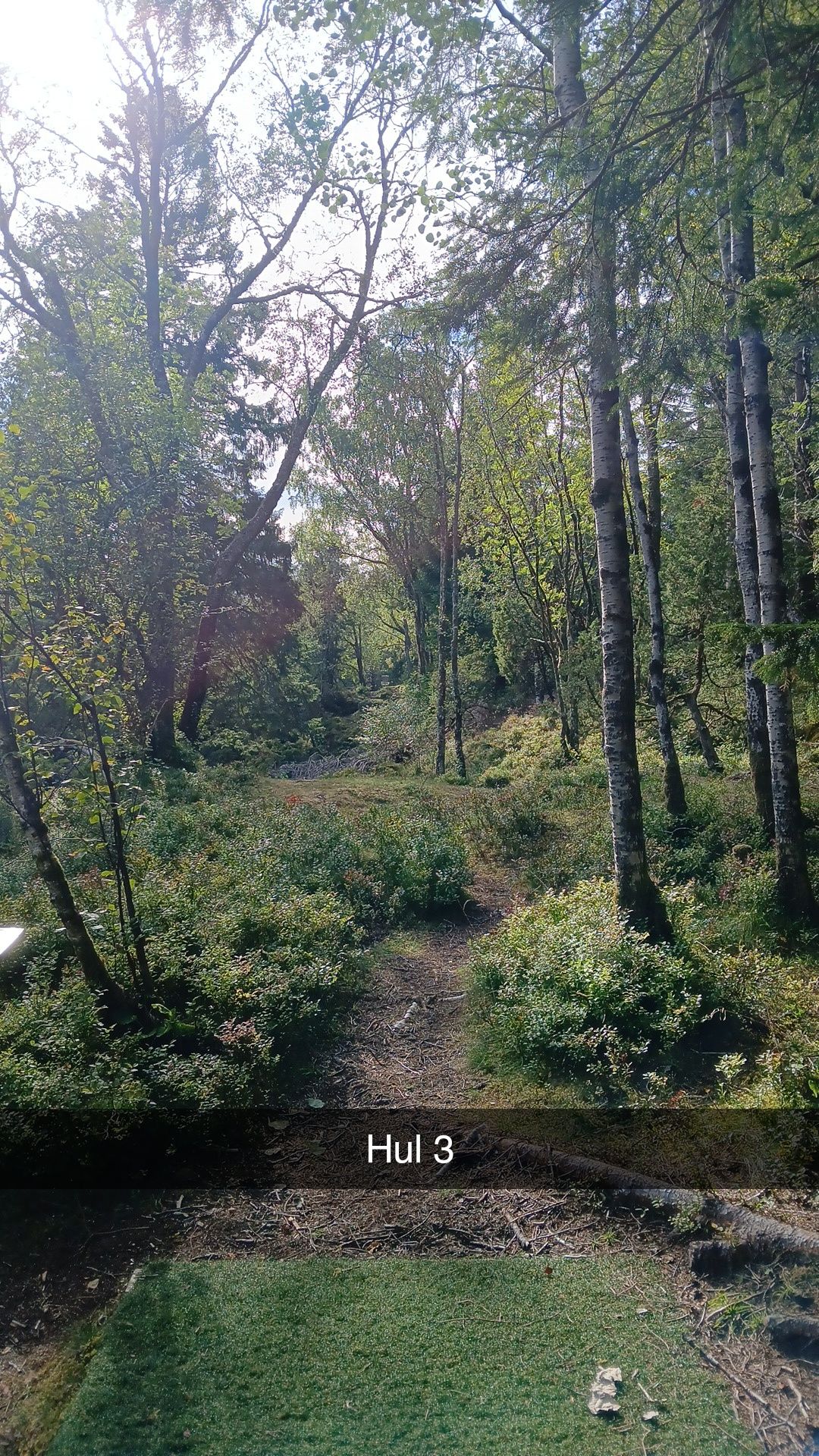Blå