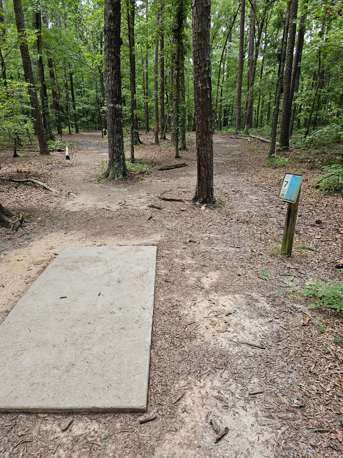 Hole 7