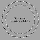 User avatar image