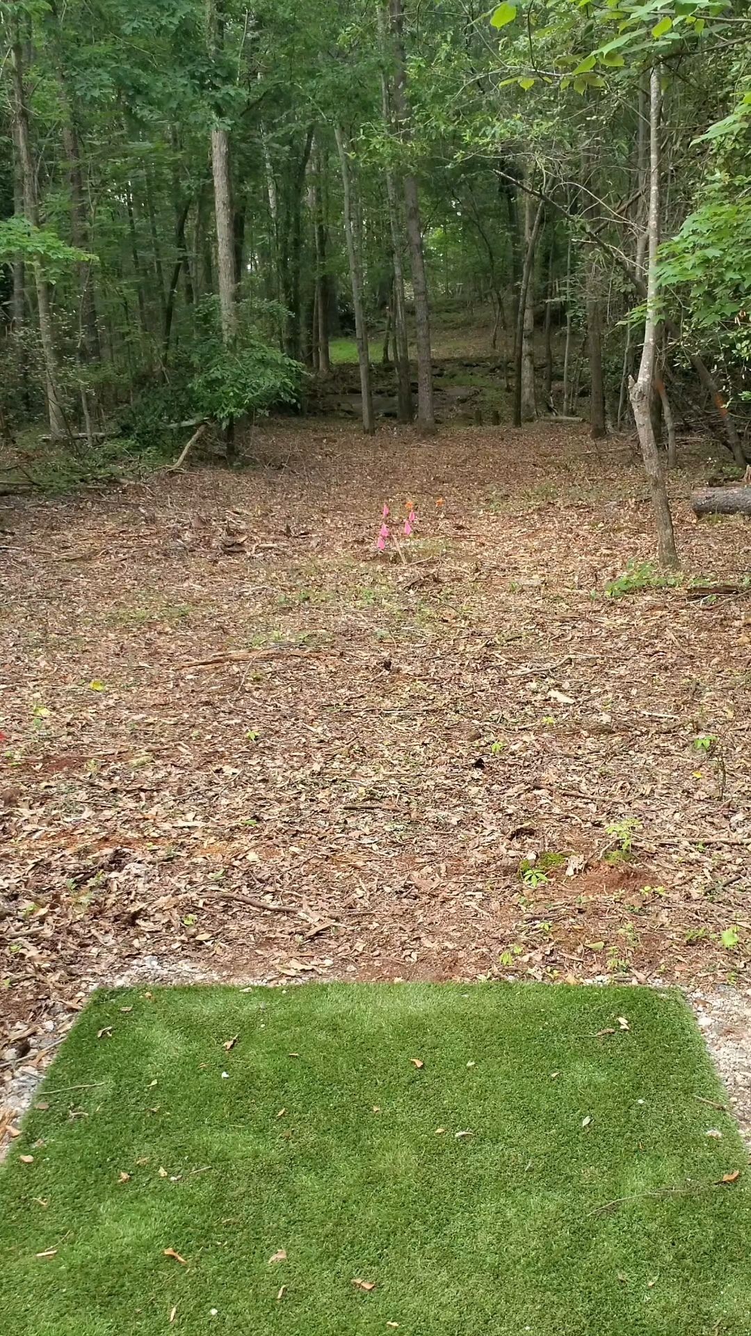 Hole 6