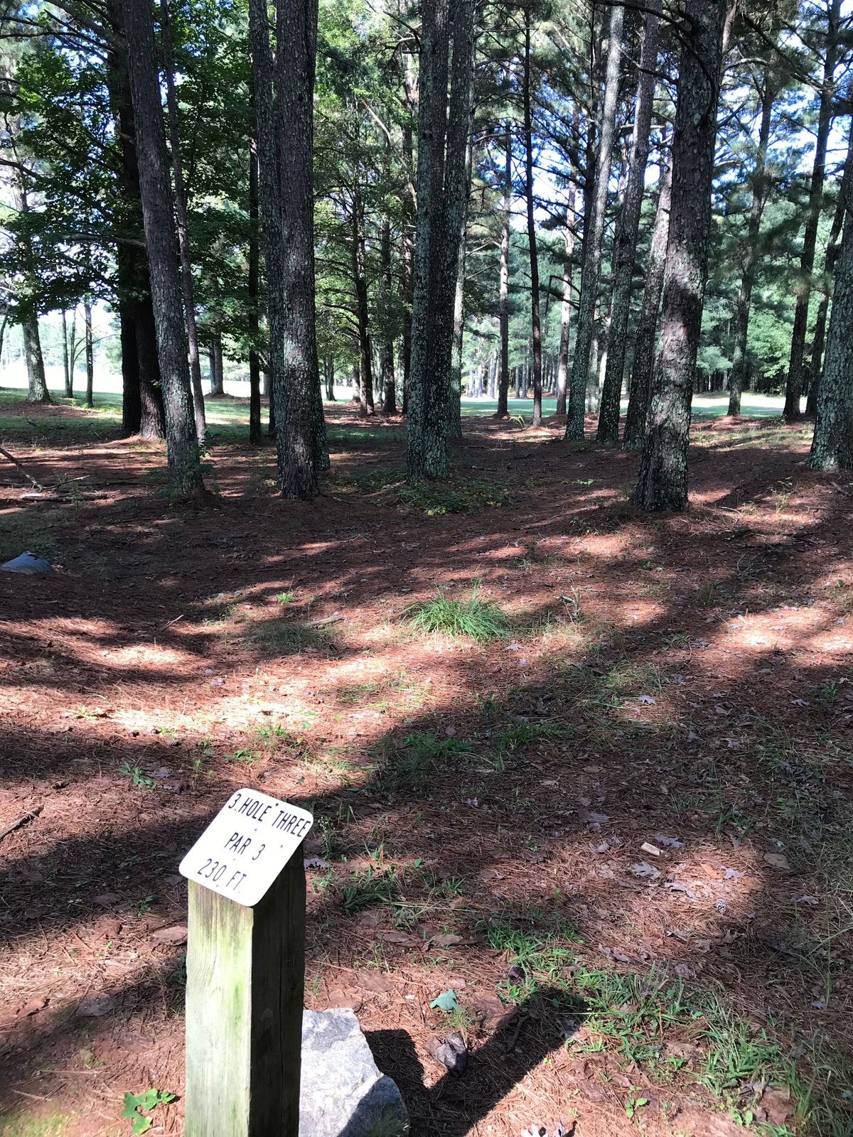 Hole 3 dog legs left through some large trees. A couple lines to choose from to park at the basket.