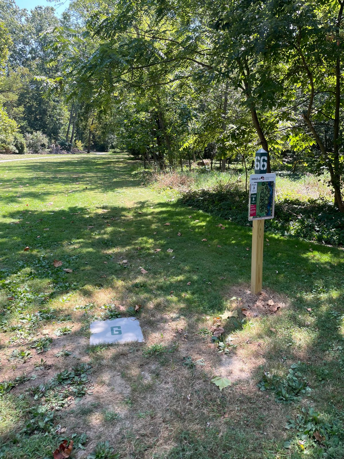 Hole 6 Green Tee