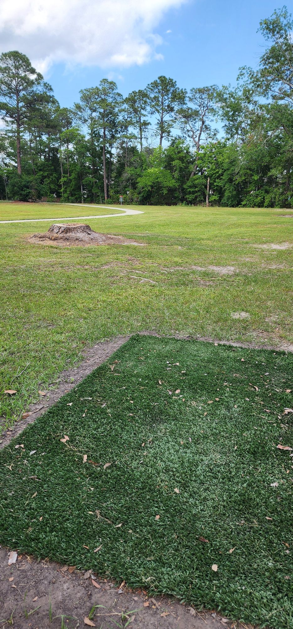 Hole 2 ob 15 ft pass the basket. Big ditch that goes all the way down to hole 12.