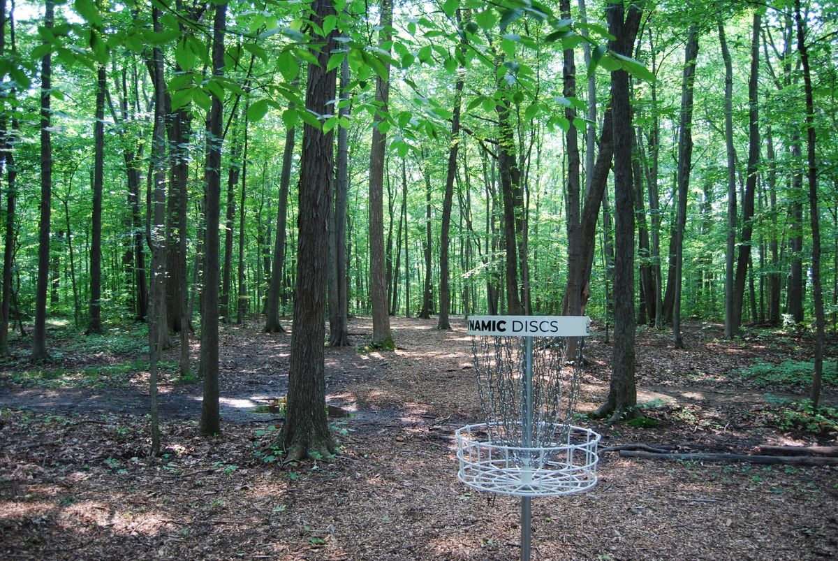 Hole 2 long pin position looking back toward long tee pad position