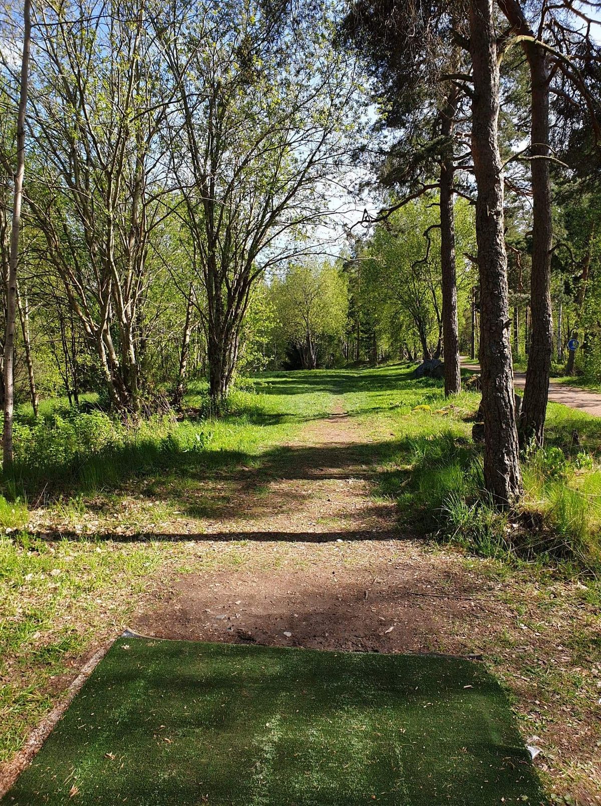 Hole 16
86m past 2 bushy trees the basket is in a slight downhill to the left