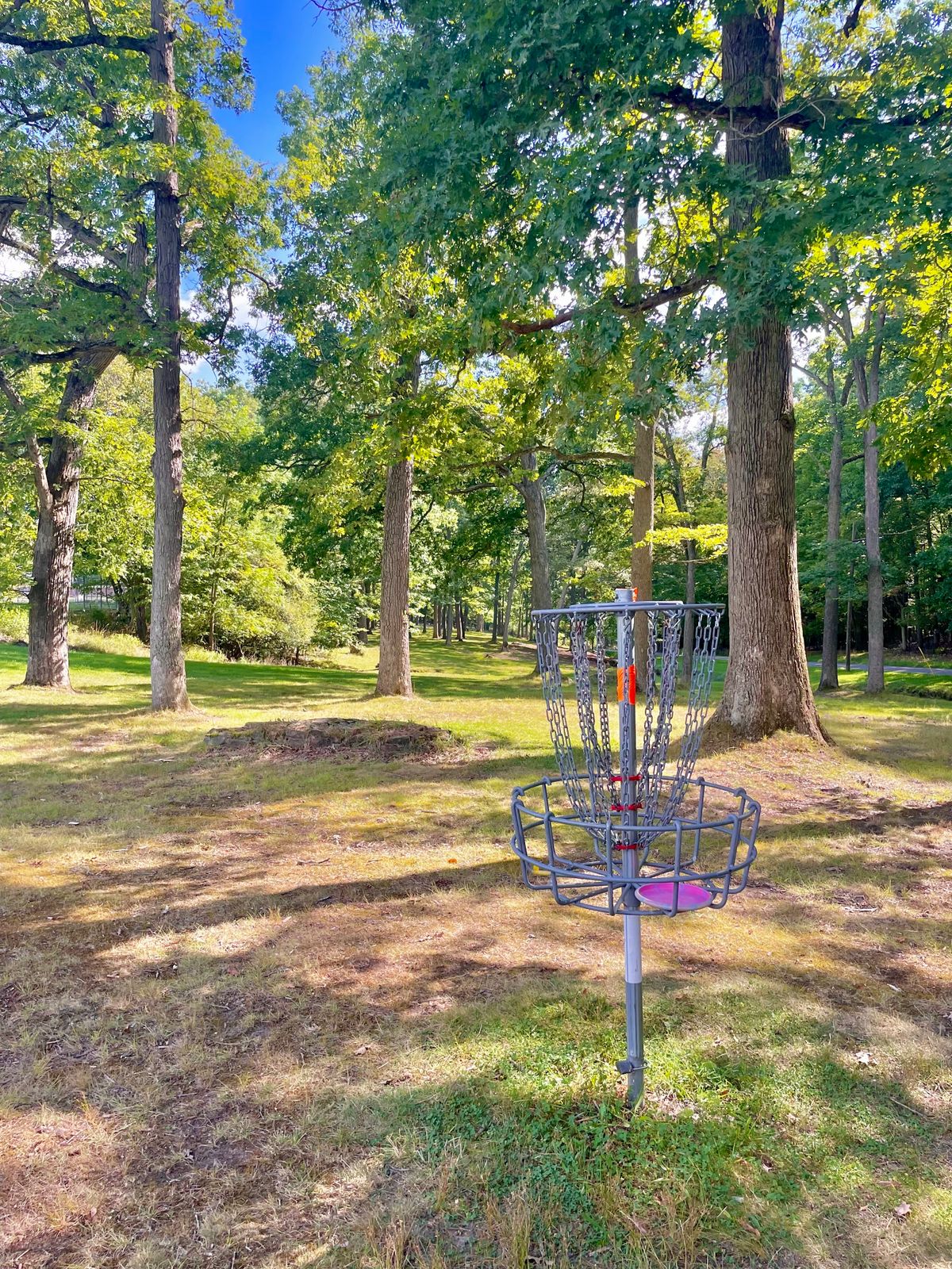 Hole 16 looking back down the fairway