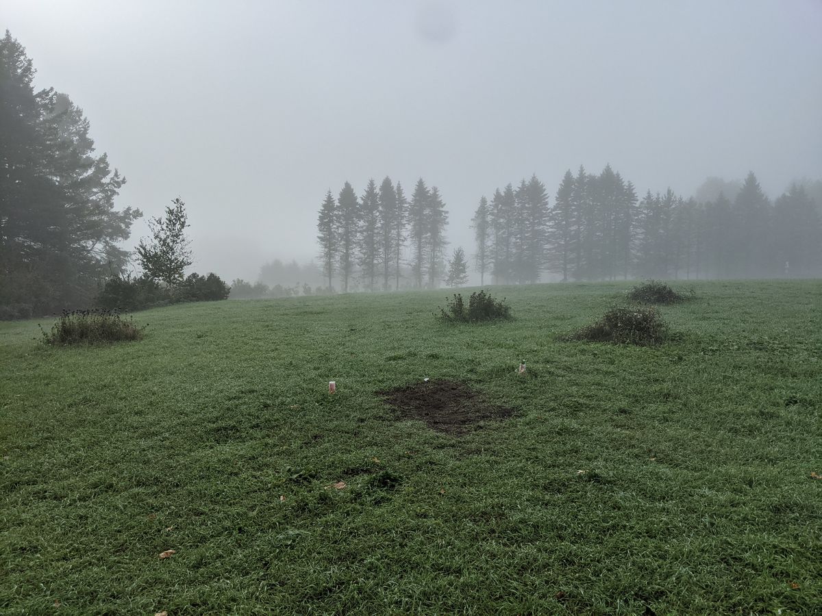 The basket is over there somewhere! Hole 4