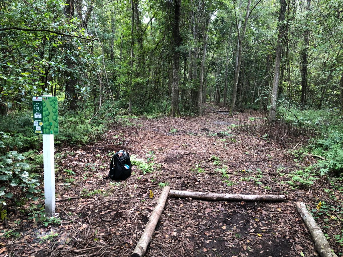 Hole 3 is straight
