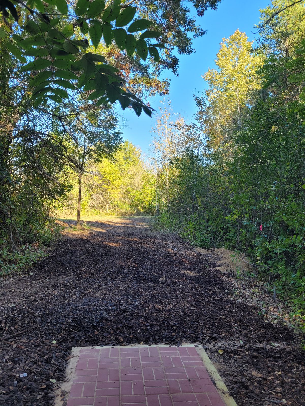 Hole 13