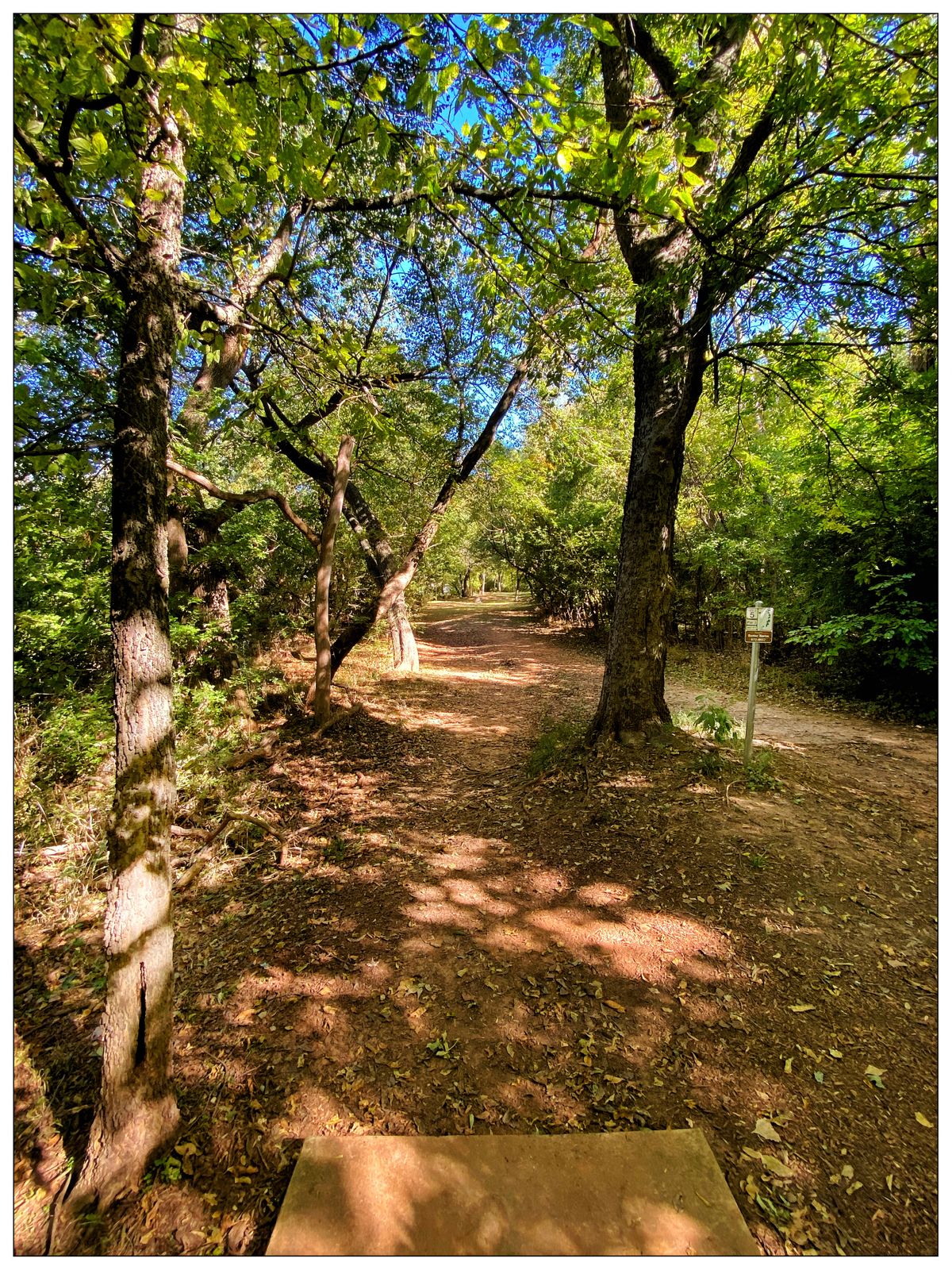 Hole 5 plays along the creek- throwing north