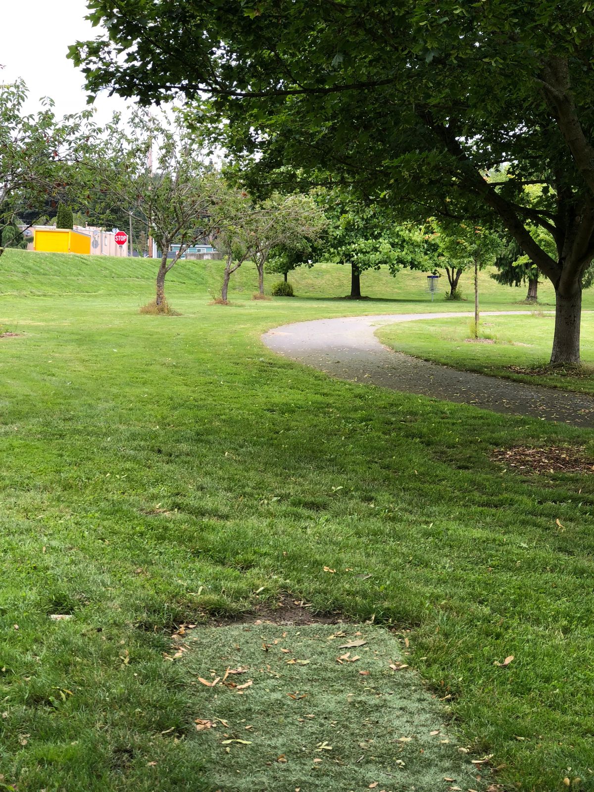 Hole 1 with view of basket