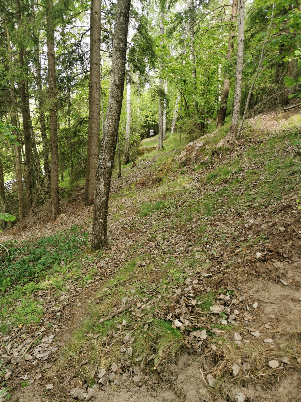 Bana 7, par 3, 60 meter