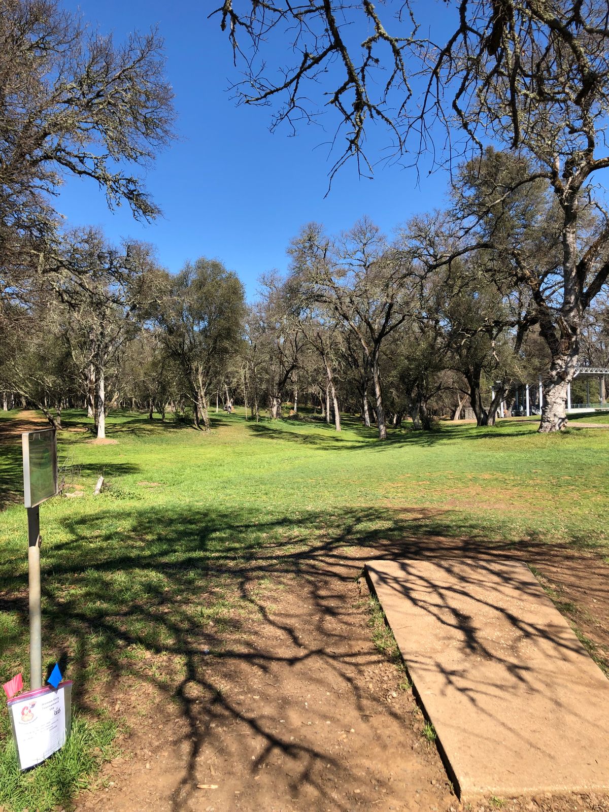 Tee pad